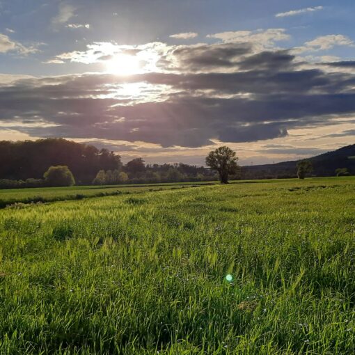 Im Fuldatal - Der Abend naht