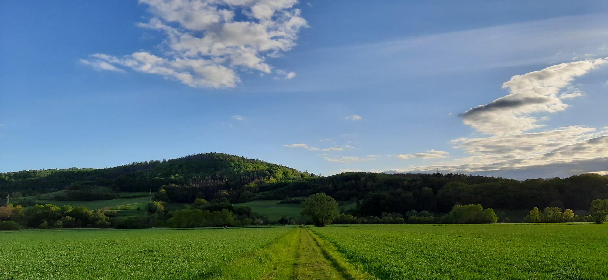 Weg zur Fulda