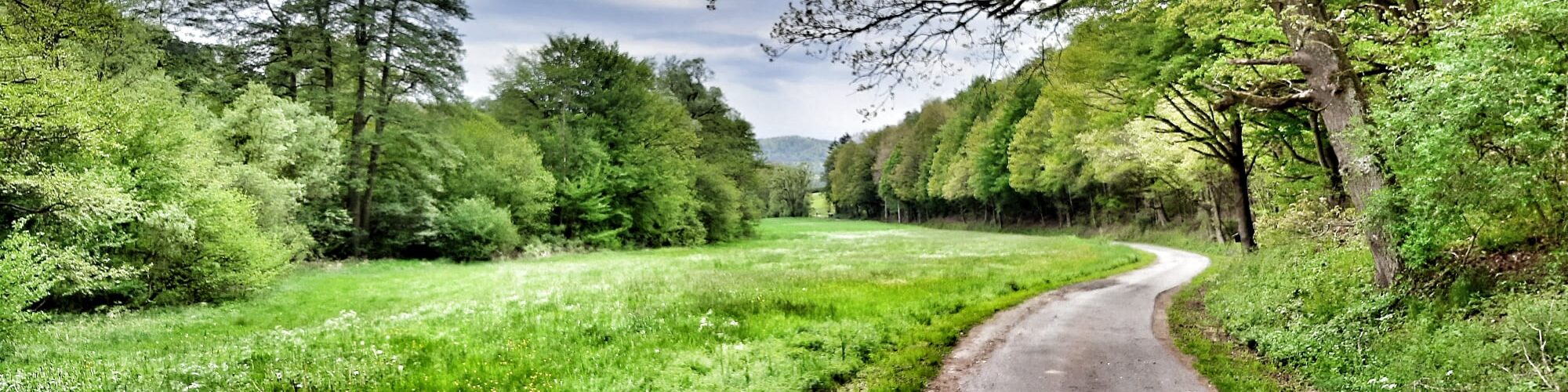 Altmorschen - Durch den Kessel.