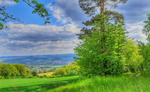 Blick auf Altmorschen