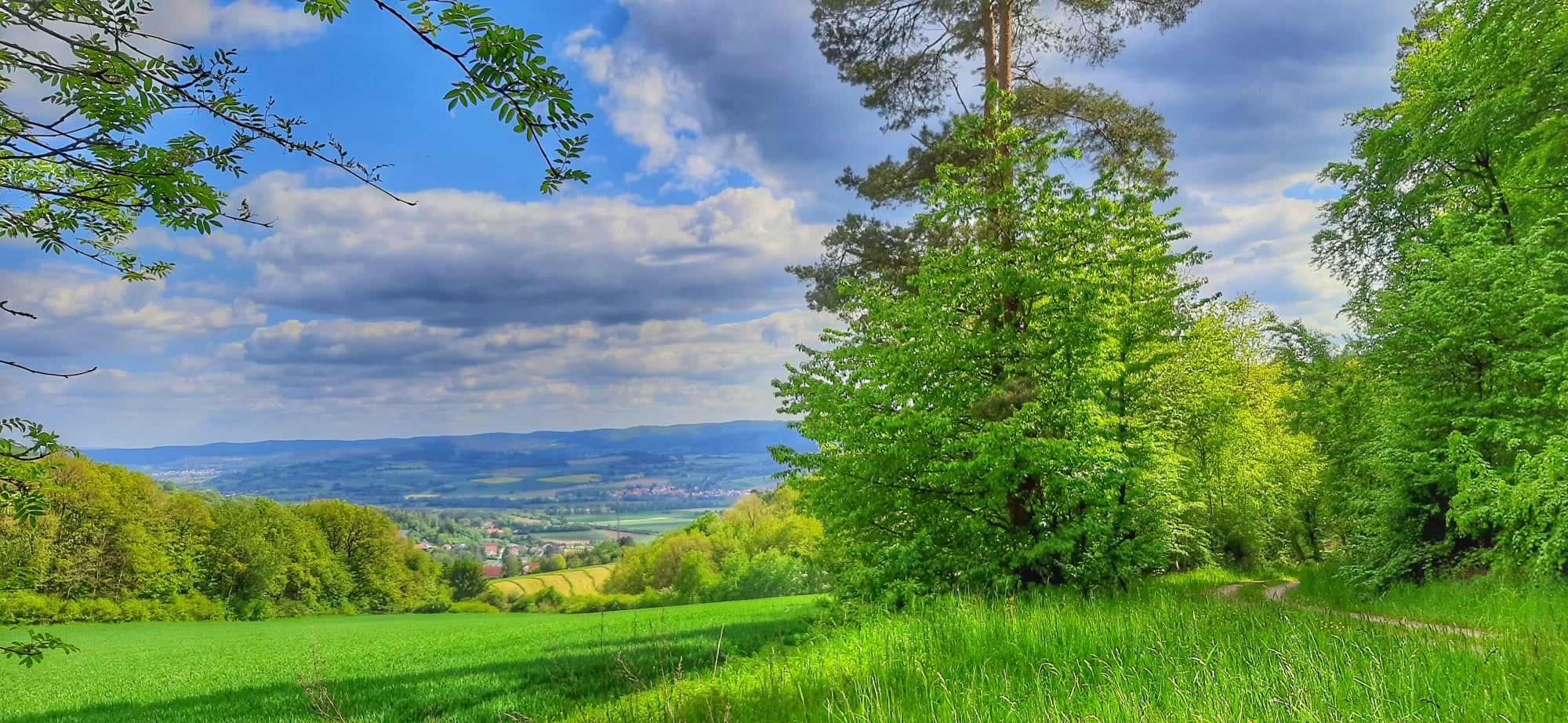 Blick auf Altmorschen