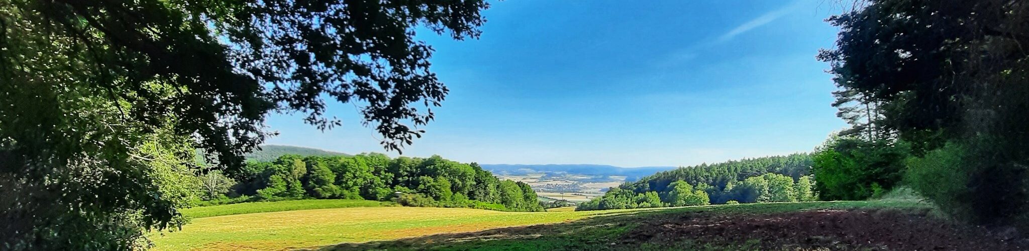 Altmorschen - Am Waldrand