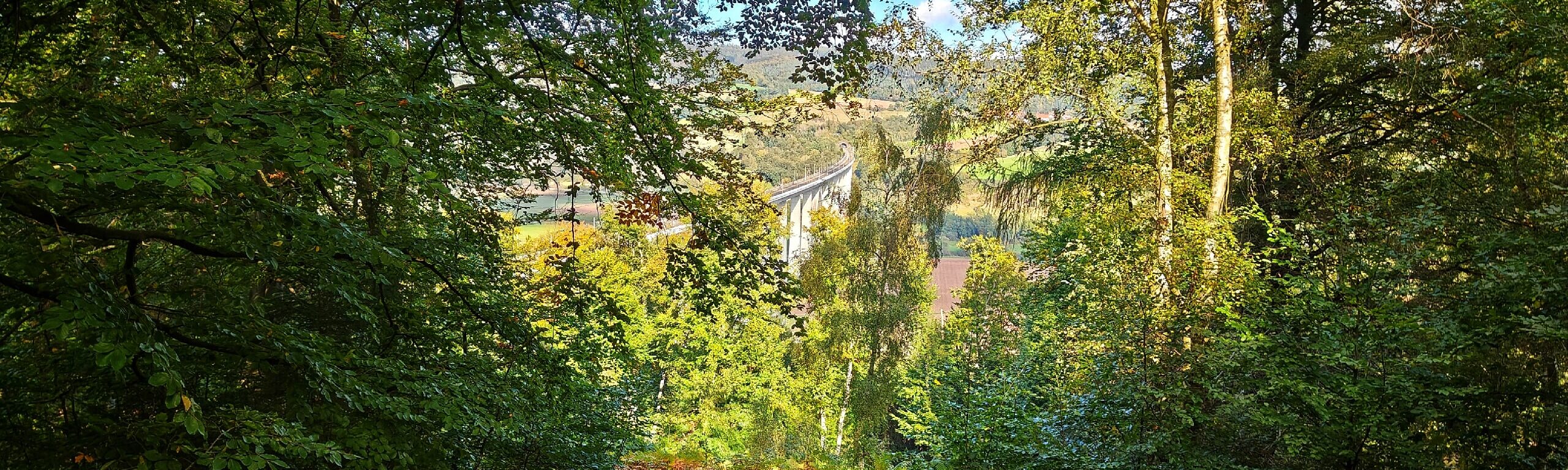 Binsförth - Blick auf die ICE-Brücke