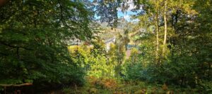 Binsförth - Blick auf die ICE-Brücke
