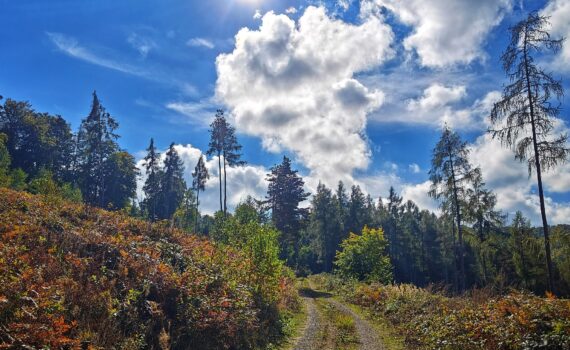 Am Jägerkopf entlang