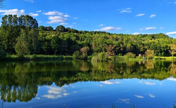 Angelsee Altmorschen